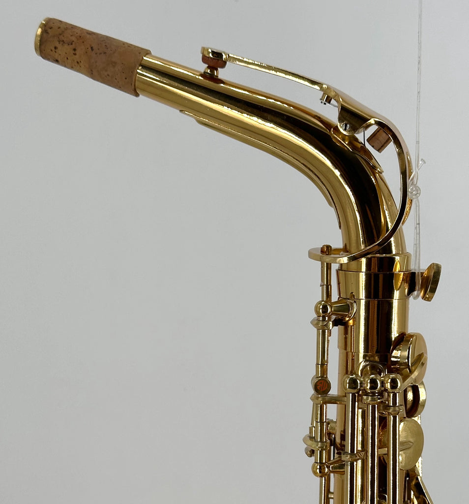 ☆美品☆CANNONBALL ☆ALTOSAX ☆AE96-BL - 楽器/器材