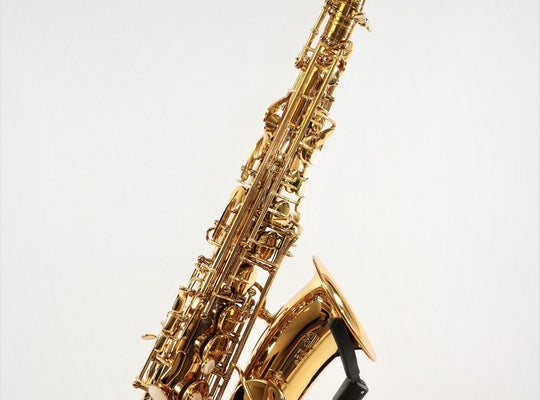 RW Pro-Series Light Alto Saxophone